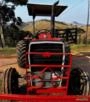 Trator Massey Ferguson 235 ano 1978 Imagem Trator Massey Ferguson 235 ano 1978