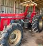Trator Massey Ferguson 295 ano 1984 Imagem Trator Massey Ferguson 295 ano 1984