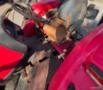Trator Massey Ferguson 4283 ano 2013 Imagem Trator Massey Ferguson 4283 ano 2013