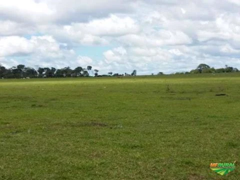 Fazenda a venda no Estado de Rondônia