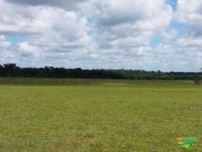 Fazenda a venda no Estado de Rondônia