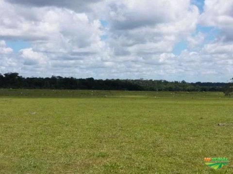 Fazenda a venda no Estado de Rondônia