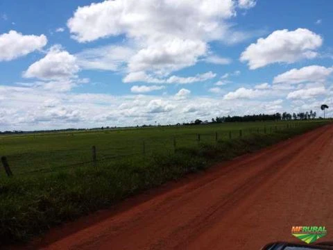 Fazenda a venda no Estado de Rondônia