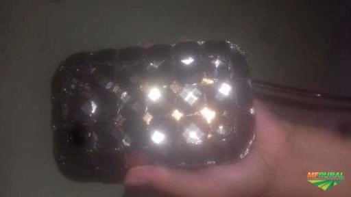 Bolsa isla original Imagem Bolsa isla original