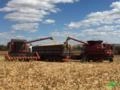 Procuro Fazenda para Arrendamento para plantio de Soja distante até 150 km de Brasília Imagem Procuro Fazenda para Arrendamento para plantio de Soja distante até 150 km de Brasília