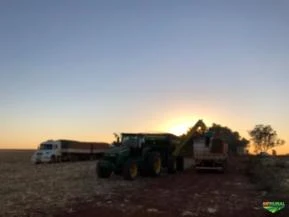 Procuro Fazenda para Arrendamento para plantio de Soja distante até 150 km de Brasília