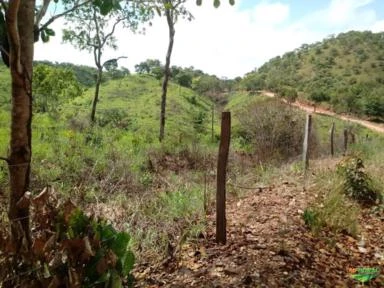 Fazenda em Trombas/GO 242ha - 4 córregos permanentes e 145ha de Pasto. Água encanada. Luz. Curral