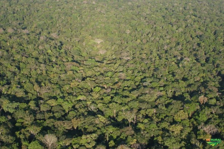 Área para Compensação de Reserva Legal – Amazônia