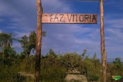 FAZENDA VITORIA EM TIROS MG