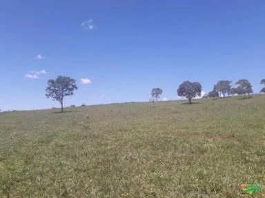 Fazenda em ProfessorJamil - Goiás