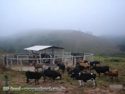 Fazenda em Bom Jardim  - MG com 309 hectares.