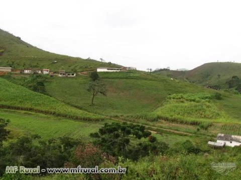 Fazenda em Bom Jardim  - MG com 309 hectares.