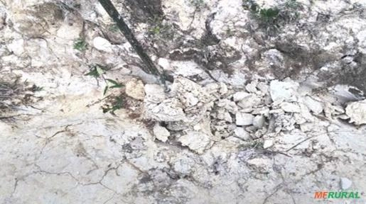 Jazida de Caulim a venda Imagem Jazida de Caulim a venda