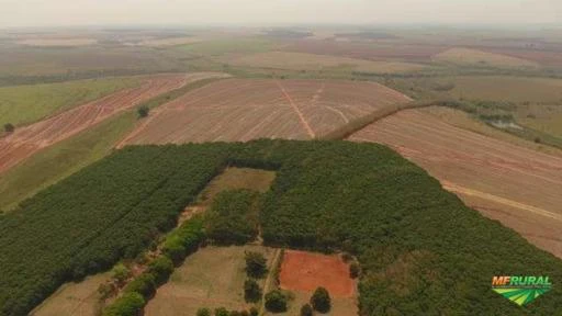 Fazenda com Seringueira e Cana