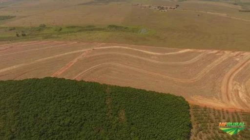 Fazenda com Seringueira e Cana