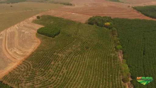 Fazenda com Seringueira e Cana