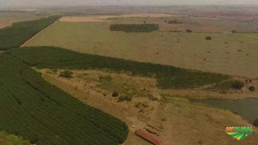 Fazenda com Seringueira e Cana