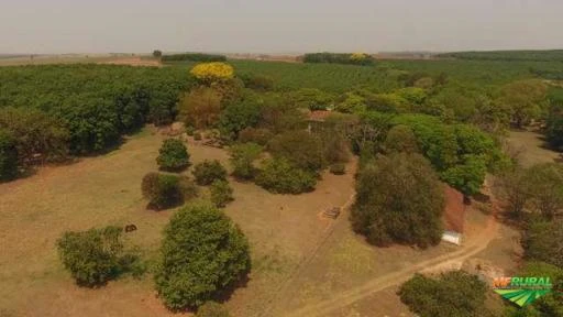 Fazenda com Seringueira e Cana