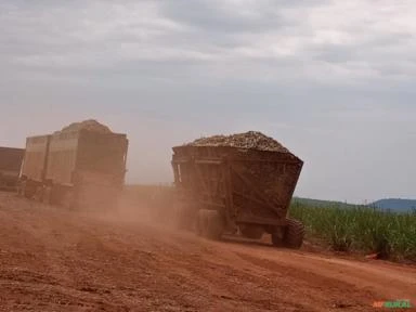 Transbordos em ótimo estado