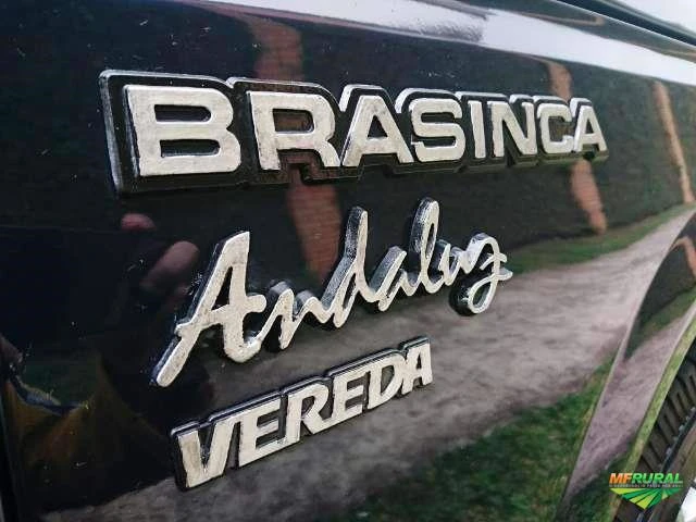 Vendo direitos marca BRASINCA AUTOMÓVEIS