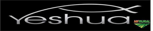 LENHA EUCALIPTO / PINUS Imagem LENHA EUCALIPTO / PINUS