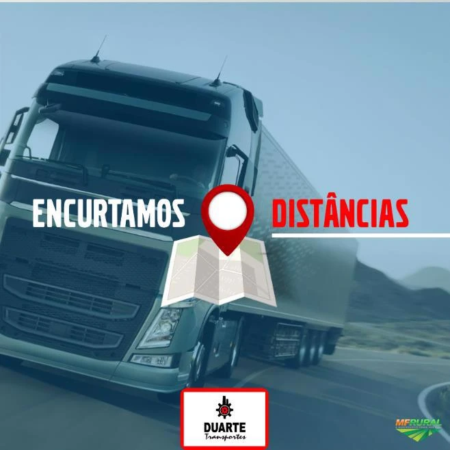 Transportes de hortifrúti granjeiros (Atuamos no Brasil todo)