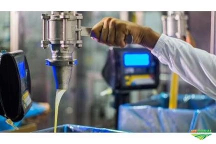 Oleo de algodão e soja Imagem Oleo de algodão e soja