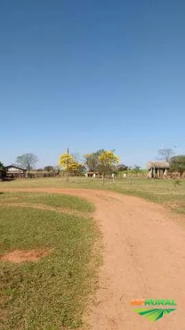 Sitio com Granja - Negocio de ocasião