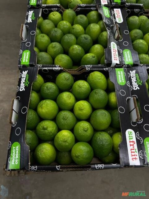Limão Tahiti Exportação Imagem Limão Tahiti Exportação