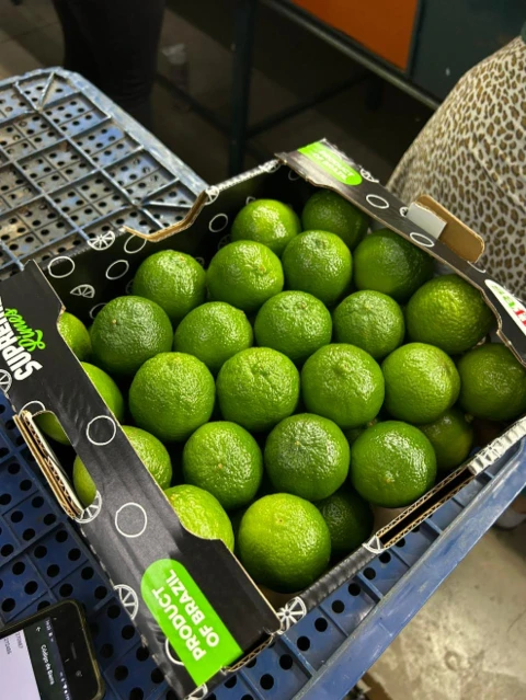 Limão Tahiti Exportação
