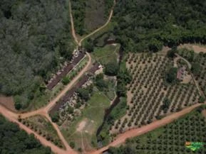 Fazenda na Bahia