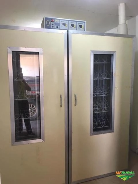 Incubadora 112 ovos de avestruz Imagem Incubadora 112 ovos de avestruz