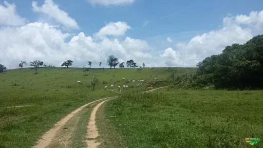 Fazenda em Oliveira MG 564 hectares para gado ou plantações diversas