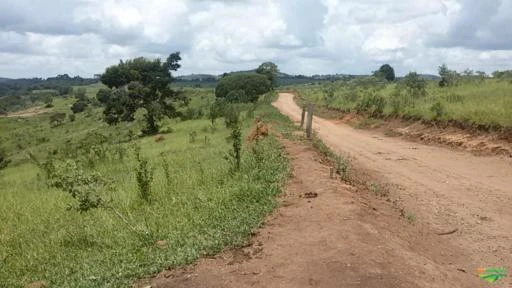 Fazenda em Oliveira MG 564 hectares para gado ou plantações diversas