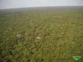 Floresta Amazônica