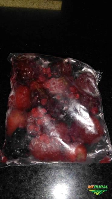 Imagem Frutas congeladas Imagem Frutas congeladas