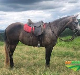 Depoimento de anúncio vendido Depoimento de anúncio vendido