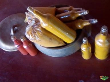 Açafrão (Curcuma) Imagem Açafrão (Curcuma)