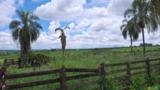 Curral completo Imagem Curral completo