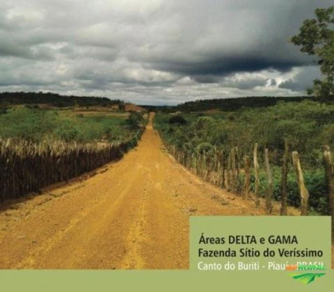 Imóvel Rural no Piauí. 8.841 hectares. Preço abaixo do mercado