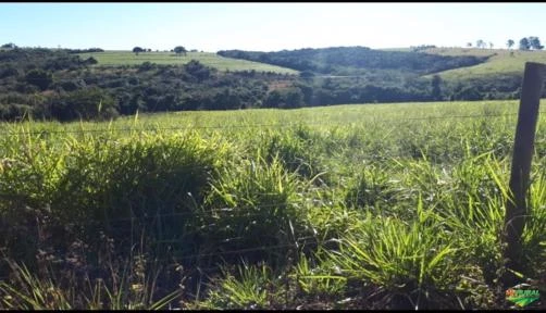 Fazenda Marcos