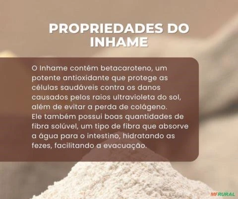 Farinha de Inhame - 25 Kg