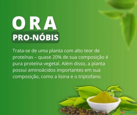 Ora Pro Nóbis - 10Kg