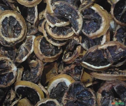 Imagem Limão-Taiti Desidratado - 8Kg Imagem Limão-Taiti Desidratado - 8Kg