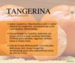 Tangerina Desidratada - 8Kg
