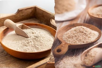 Farinha de Psyllium em pó 60% 10Kg Imagem Farinha de Psyllium em pó 60% 10Kg