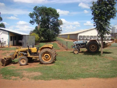 FAZENDA MONTE ALEGRE DE MINAS