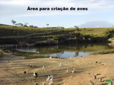 Haras 40 Alqueires todo formado com lagos, casa sede em Santa Isabel/SP