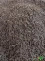 Esterco de galinha poedeira compostado e peletizado Imagem Esterco de galinha poedeira compostado e peletizado