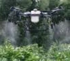 Serviço de pulverização agrícola com drone